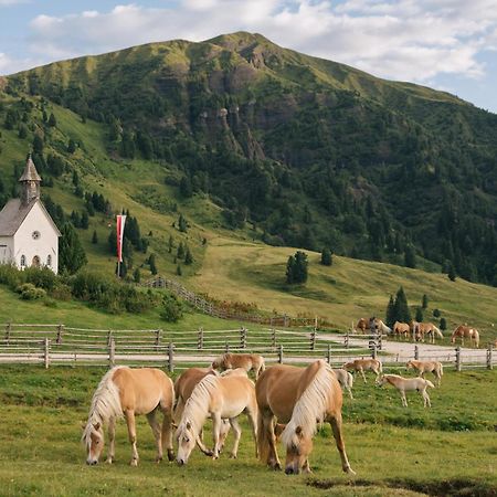 Zallinger Dolomites Alpe Di Siusi Ngoại thất bức ảnh