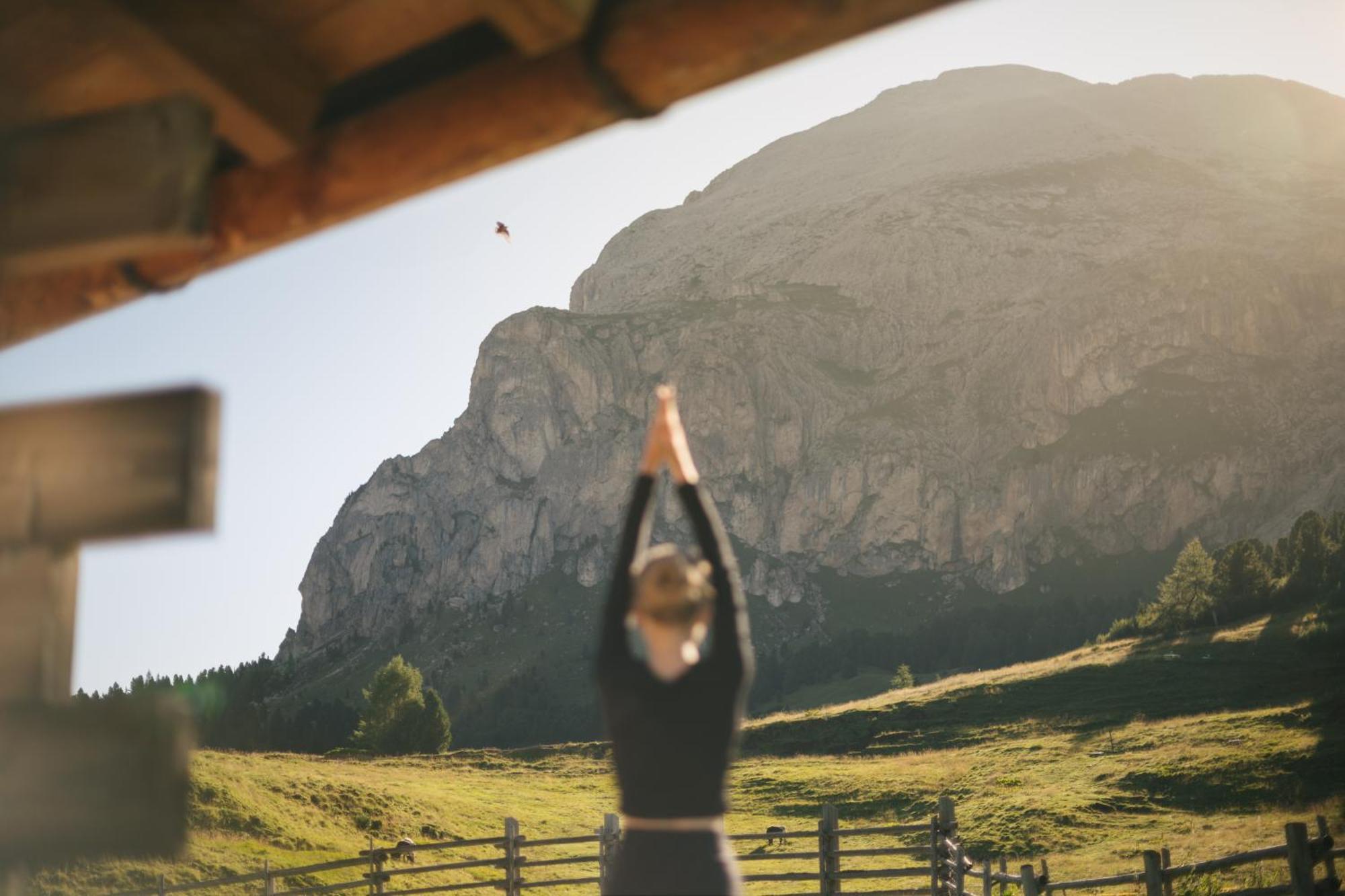 Zallinger Dolomites Alpe Di Siusi Ngoại thất bức ảnh