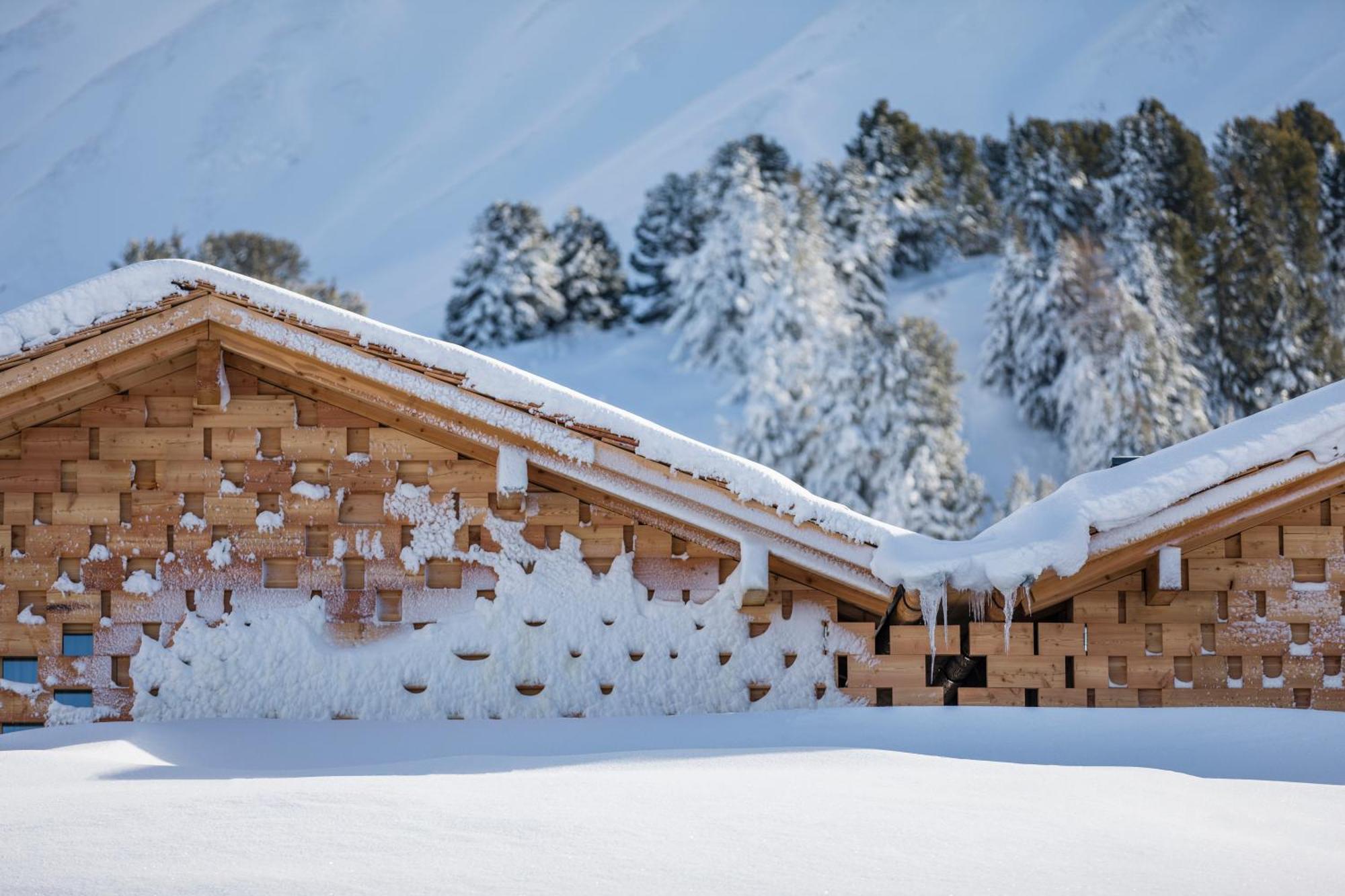 Zallinger Dolomites Alpe Di Siusi Ngoại thất bức ảnh