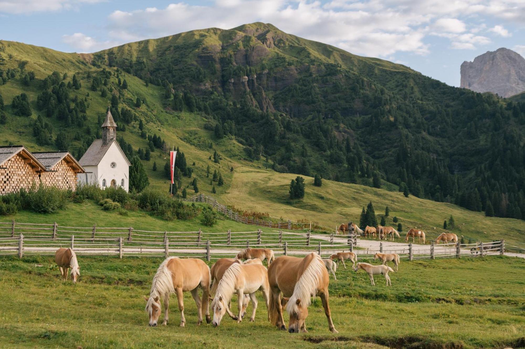 Zallinger Dolomites Alpe Di Siusi Ngoại thất bức ảnh